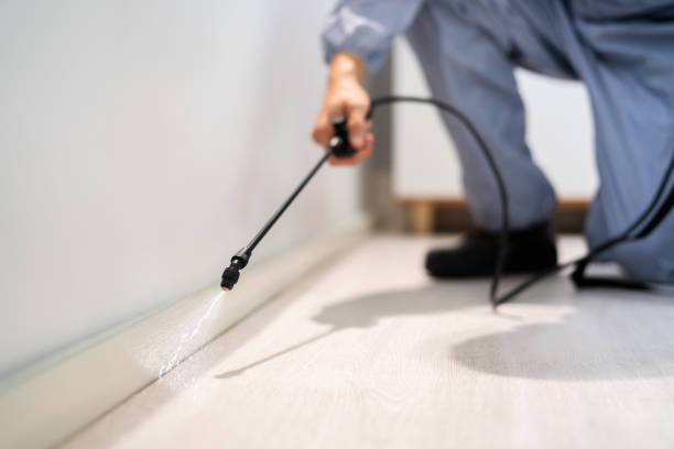 Licensed Termite Control service in Bedminster, NJ - Nex Pest Control