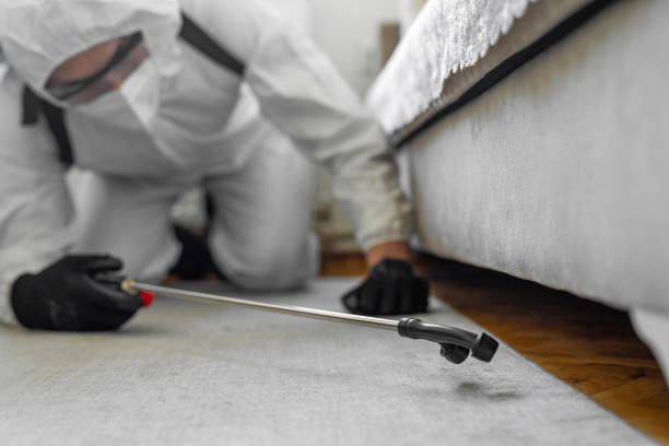 Professional Termite Control technician working in Bedminster, NJ