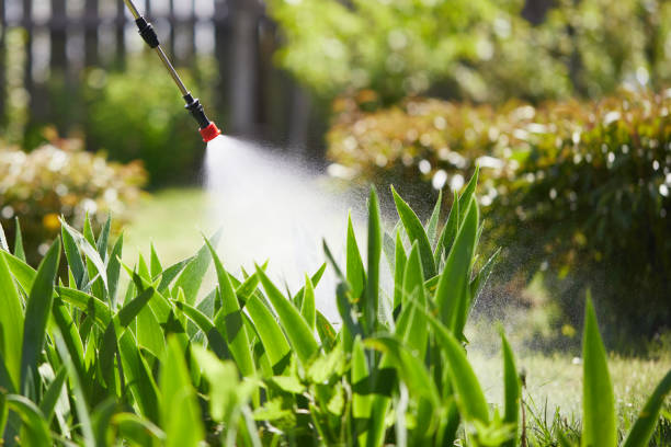 24/7 Emergency Termite Control experts in Bedminster, NJ