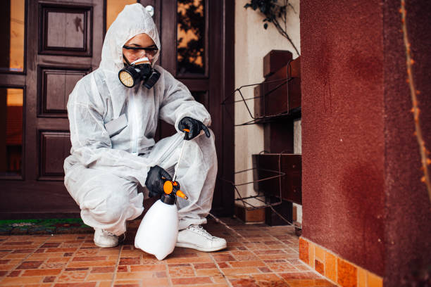Reliable Termite Control contractor in Bedminster, NJ by Nex Pest Control