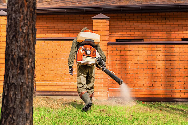 Top rated local Termite Control specialists in Bedminster, NJ